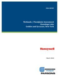 Wetlands / Floodplain Assessment Onondaga Lake Geddes and ...