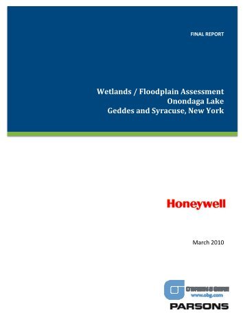 Wetlands / Floodplain Assessment Onondaga Lake Geddes and ...