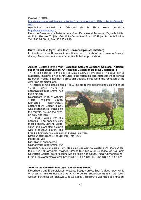 Donkey Breeds in Europe - Safeguard for Agricultural Varieties in ...