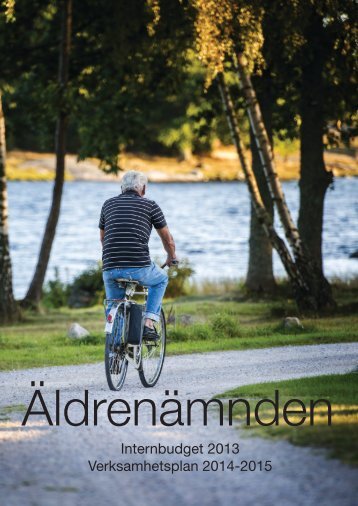 ÃF internbudget 2013 - Karlskrona kommun