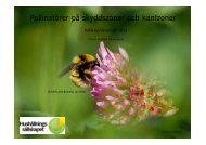 Pollinatörer på skyddszoner och kantzoner