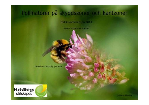 Pollinatörer på skyddszoner och kantzoner