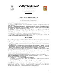 AVVISO INDAGINE DI MERCATO.pdf - Comune di Naso