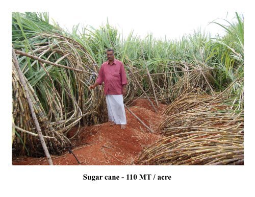 Precision Farming - TNAU Agritech Portal - Tamil Nadu Agricultural ...