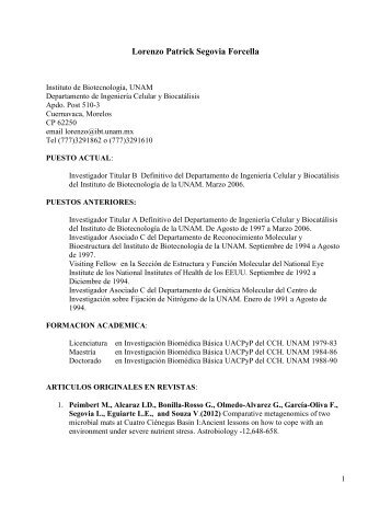 CURRICULUM VITAE - Junta de Gobierno UNAM