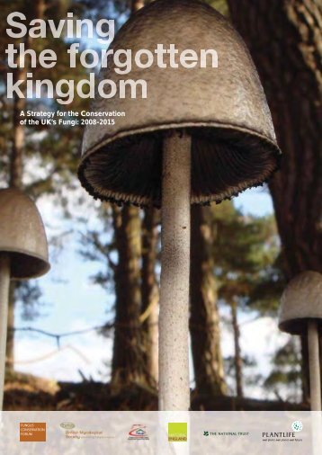 A Strategy for the Conservation of the UK's Fungi: 2008 ... - Plantlife