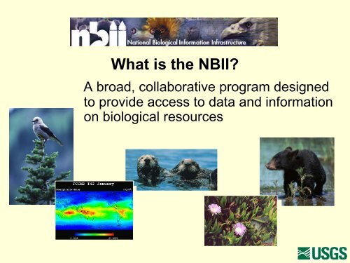 Exploring NBII's New Metadata Clearinghouse Interface