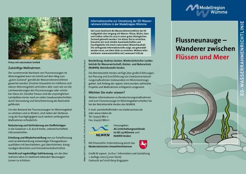 Flussneunauge Ã¢Â€Â“ Wanderer zwischen FlÃƒÂ¼ssen ... - NordWest Natur