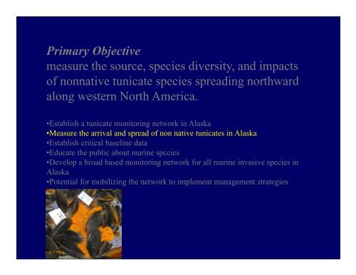 Citizen Science: Monitoring invasive tunicates in Alaska