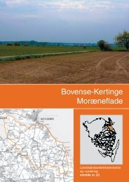 Landskabskarakterbeskrivelse og vurdering af Bovense-Kertinge ...