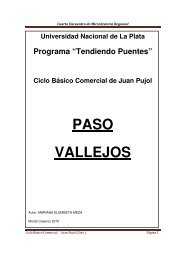 paso vallejos - Tendiendo Puentes - Universidad Nacional de La Plata