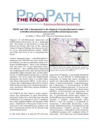 MDM2 and CDK 4 immunostains in the diagnosis of ... - IHC World