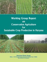 Working Group Report on Conservation Agriculture for Sustainable ...