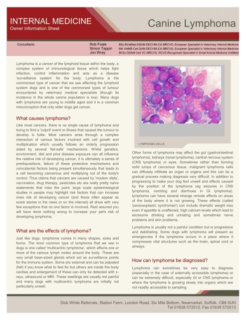 Canine Lymphoma - Dick White Referrals