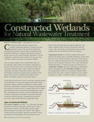 Constructed Wetlands - Southwest Hydrology