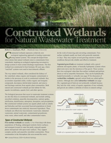 Constructed Wetlands - Southwest Hydrology