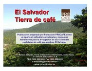 El Salvador, tierra de cafÃ© - PROCAFÃ