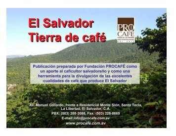 El Salvador, tierra de cafÃ© - PROCAFÃ