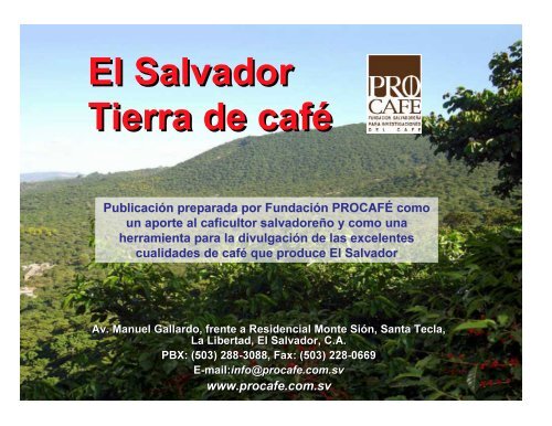 El Salvador, tierra de cafÃ© - PROCAFÃ