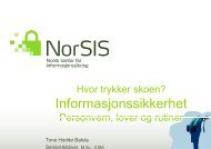 Tone Hoddø Bakås, NorSIS: Informasjonssikkerhet