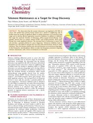 Telomere Maintenance as a Target for Drug Discovery