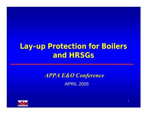 Lay-up Protection for Boilers and HRSGs - American Public Power ...