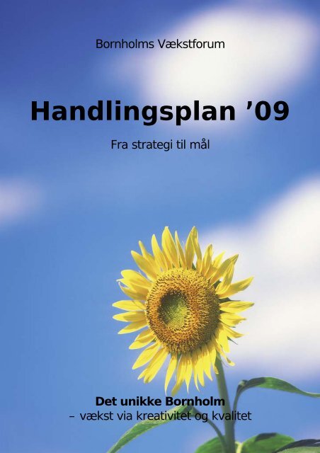 Handlingsplanen for 2009 - Bornholms Regionskommune