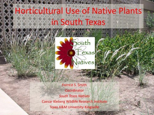 Horticultural Use of Native Plants in South Texas - Caesar Kleberg ...