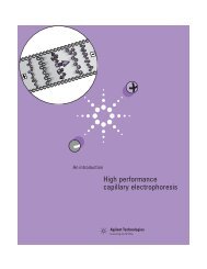 High performance capillary electrophoresis - T.E.A.M.