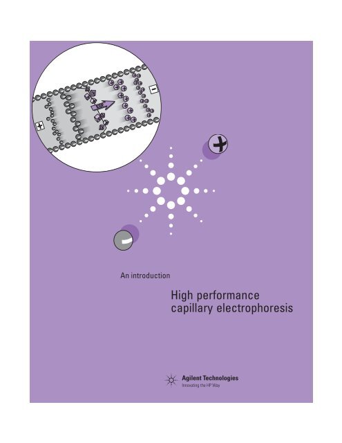 High performance capillary electrophoresis - T.E.A.M.