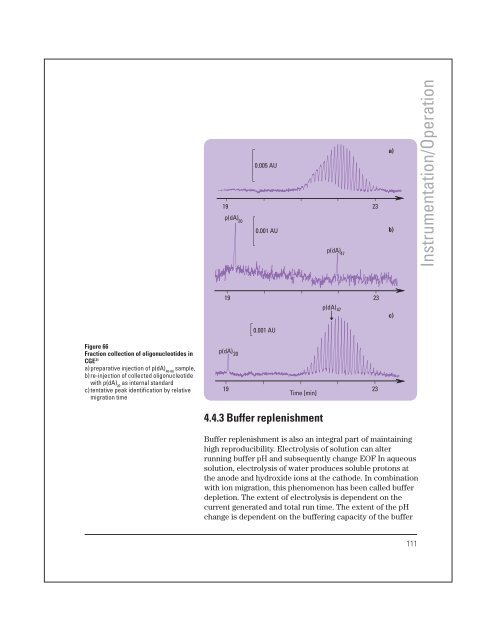 High performance capillary electrophoresis - T.E.A.M.