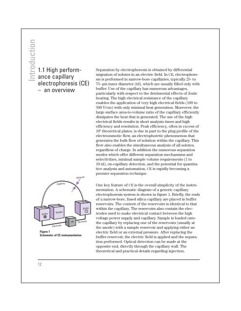 High performance capillary electrophoresis - T.E.A.M.