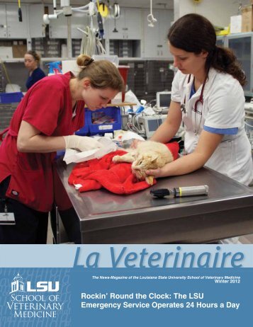 Rockin' Round the Clock - School of Veterinary Medicine - Louisiana ...