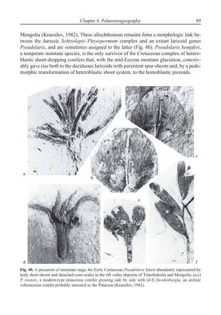 Terrestrial Palaeoecology and Global Change