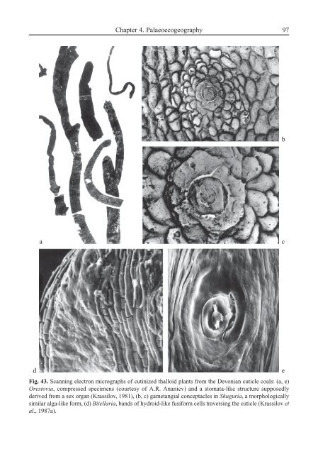 Terrestrial Palaeoecology and Global Change