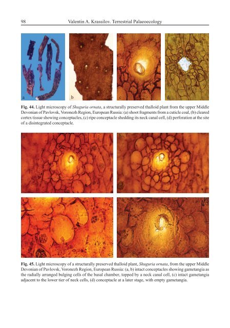 Terrestrial Palaeoecology and Global Change