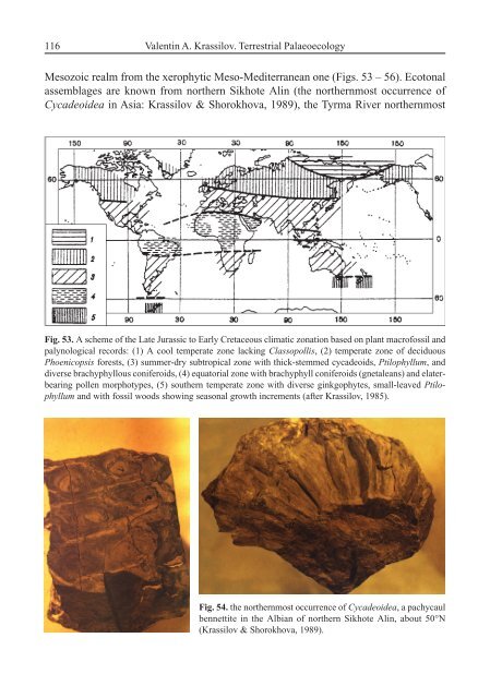 Terrestrial Palaeoecology and Global Change