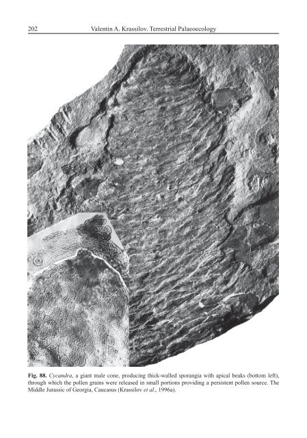 Terrestrial Palaeoecology and Global Change