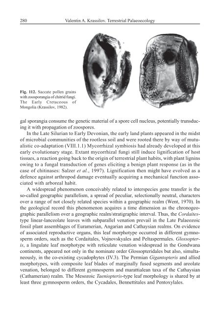 Terrestrial Palaeoecology and Global Change