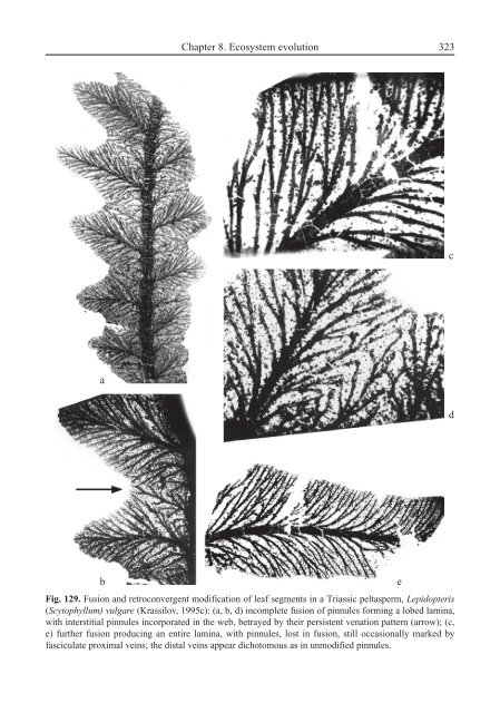 Terrestrial Palaeoecology and Global Change