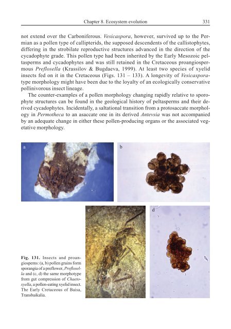 Terrestrial Palaeoecology and Global Change