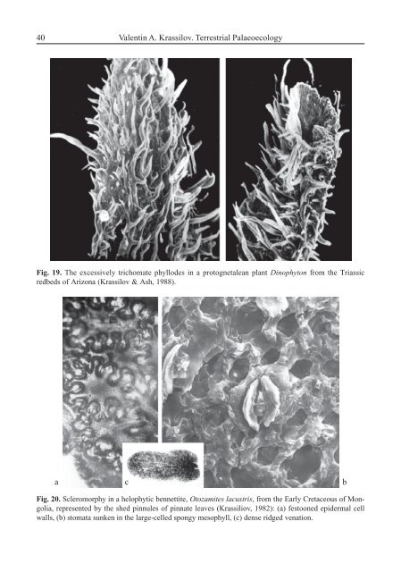 Terrestrial Palaeoecology and Global Change