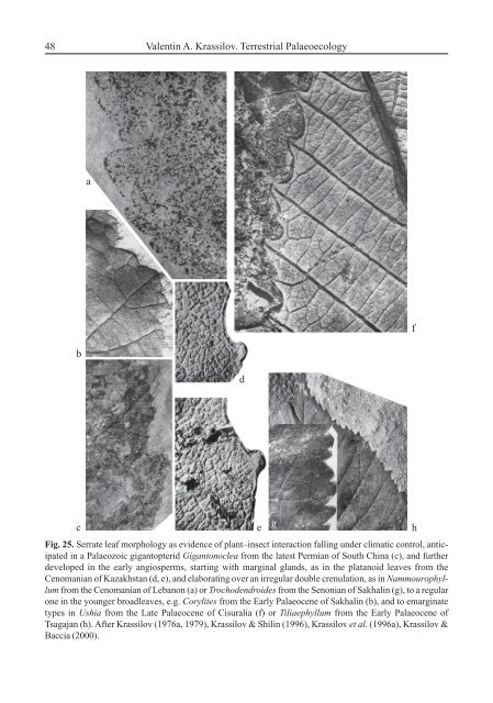 Terrestrial Palaeoecology and Global Change