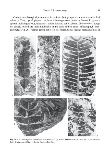 Terrestrial Palaeoecology and Global Change