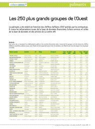 Les 250 plus grands groupes de l'Ouest - Api