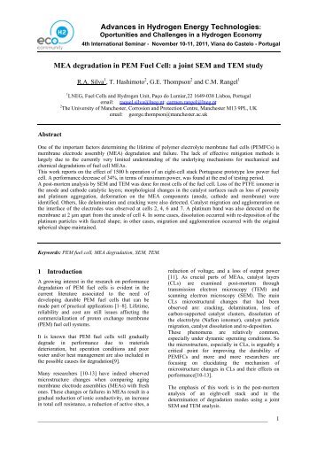 MEA degradation in PEM Fuel Cell: a joint SEM and TEM study