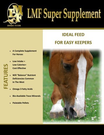 FEATURES - LMF Feeds