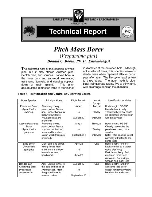 Pitch Mass Borer - Online Gardener