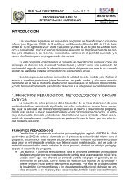 ORI-3ESOy4ESO-PROGRAMA BASE DIVER.pdf - IES Las ...