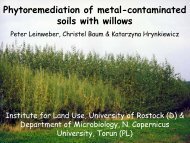 Phytoremediation of metal contaminated soils with fast growing trees